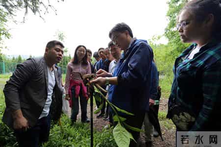 李时珍夜宿古寺,李时珍夜宿古寺阅读答案