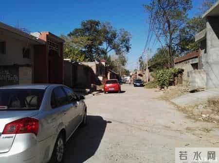 关于亲情的高中作文