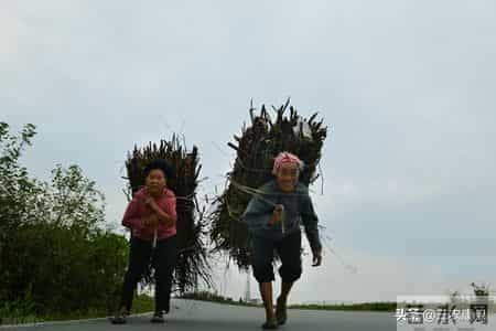 如果给农村农民的土灶封了，农民该怎样做饭呢？一起说说看吧