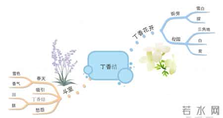 苏教版六年级上册语文补充习题答案,苏教版六年级上册语文补充答案人教版