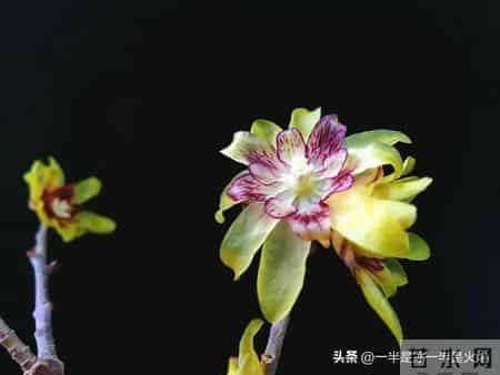 随笔：阅己，越己，悦己