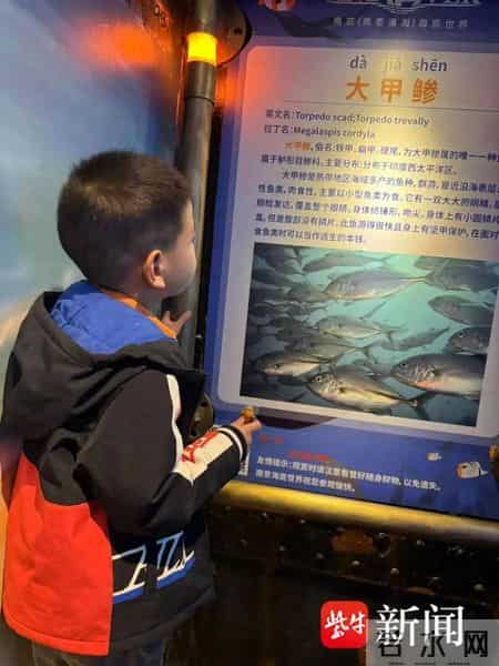 雪地里的小画家教学反思