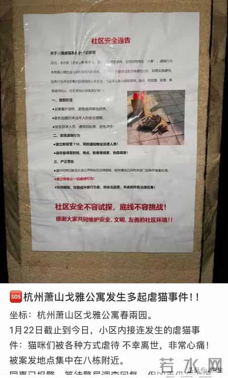 公寓管理员持杆打翻垃圾小猫,杭州虐猫事件后续：五只猫咪遭摔死勒死，警方介入，更多内幕曝光