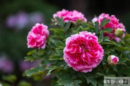 我的心里话,我的心里话20字简短