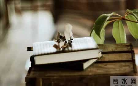 席慕容 青春,席慕容：青春是一本太仓促的书，我们含着泪，一读再读