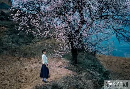 我与春天有个约会