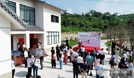 楼兰的忧郁读后感,乡情悠悠寄芳华