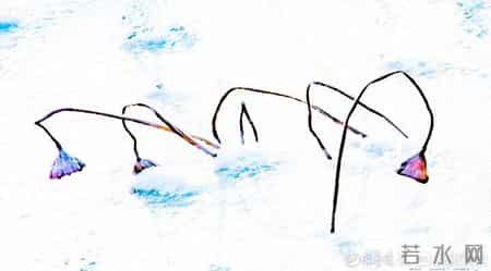 告别2022,告别,2022年