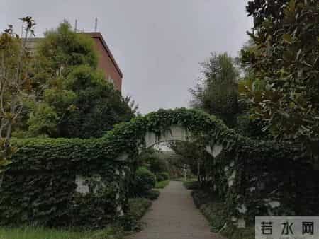 四川师范大学文理,四川师范文理学院