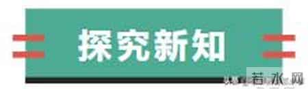 爱因斯坦和小女孩教学设计