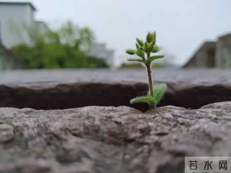 生活中的困难,生活中的困难作文600字