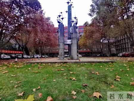 青未了｜秋天的怀念