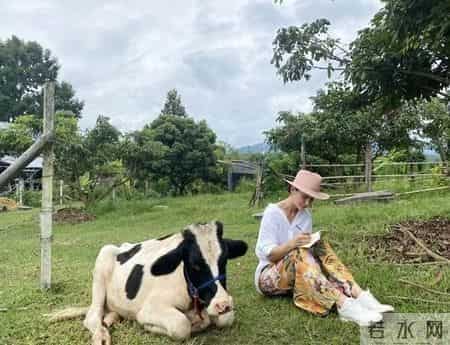 时髦办 - 据说她是本世纪泰国最伟大的女演员？