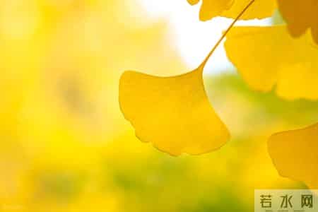 话题作文怎么写,写作技巧--这三招，教你写好“话题作文”（技法+真题+范文）