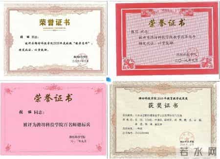 张丽：三尺讲台潜心育人 四季晴雨坚守初心