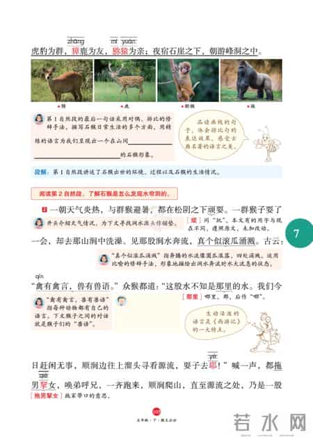 猴王出世教学设计,五年级下册语文，第7课《猴王出世》笔记+课堂解析，收藏预习