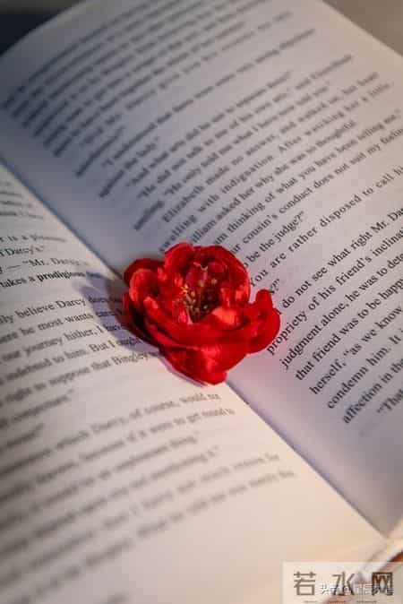 读书的好处英语作文