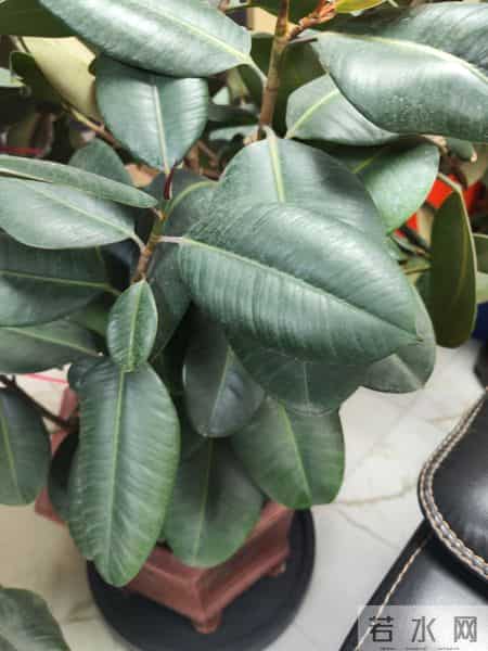 乙方甲方,甲方与乙方的关系