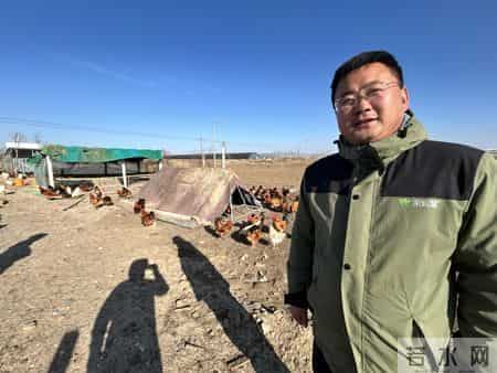 半年战死70多只，“战斗鸡”缘何好斗？无奈给公鸡戴眼镜障目，鸡场期待行家揭秘并支招