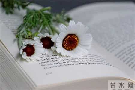 早会激励小故事,早会短小激励小故事