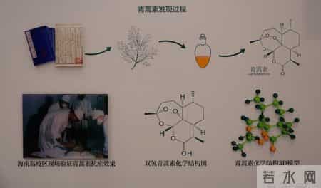 测量实习总结,测量实训总结800字