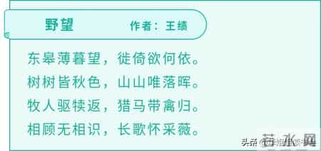 野望翻译,野望翻译