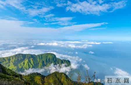 变形记,如何写出故事感——阿宝老师的“作文经”(二二七)