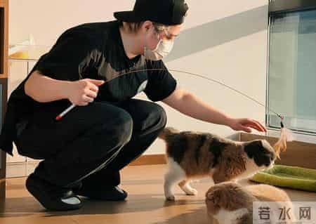 新春走基层｜留深5年，给“毛孩子”过个温暖年