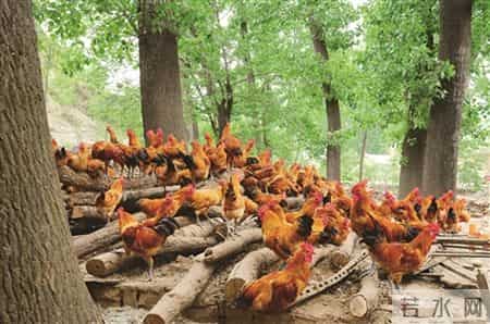 旅游资源调查报告