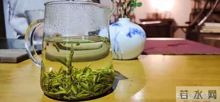 绿茶茶艺表演解说词,绿茶茶艺表演讲解词