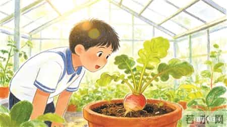 第一课,新年第一课