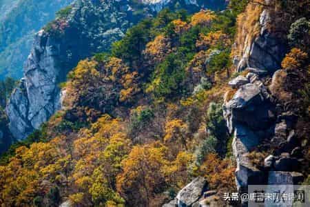 落落盘踞虽得地，冥冥孤高多烈风