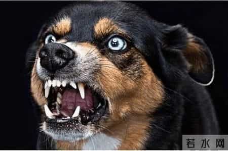 我想起小学年代的经典作文题目《上学路上》