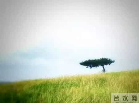 江北地图 - 最全春游打卡地，速度收藏起来！