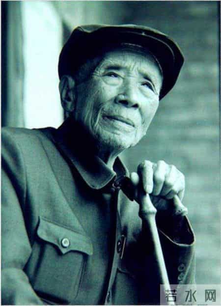 学习杨善洲先进事迹,杨善洲先进事迹观后感