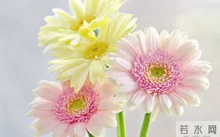 生日感谢词,用高情商的生日感谢语言，传递真挚的祝福