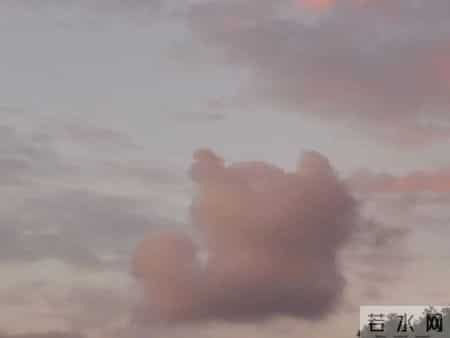 军训生活,军训生活感悟作文800字