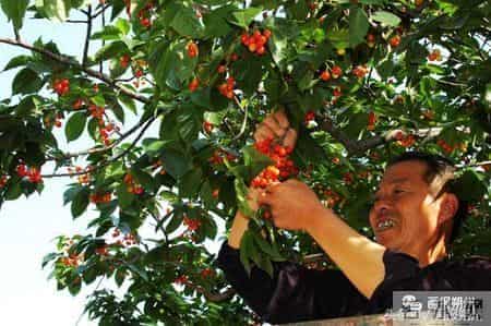 看！这幸福的百元大钞