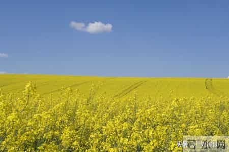 把事情做到最好读后感