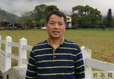 我愿做一棵树,我愿做一棵树一半在土里 一半图片