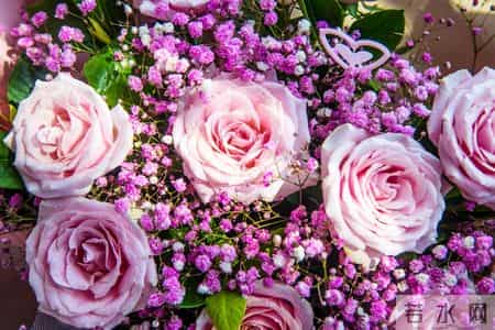 有爱就有家,有爱就有家张佳宁王阳