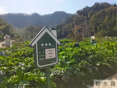 竹林深处是我家,竹林深处人家是谁写的