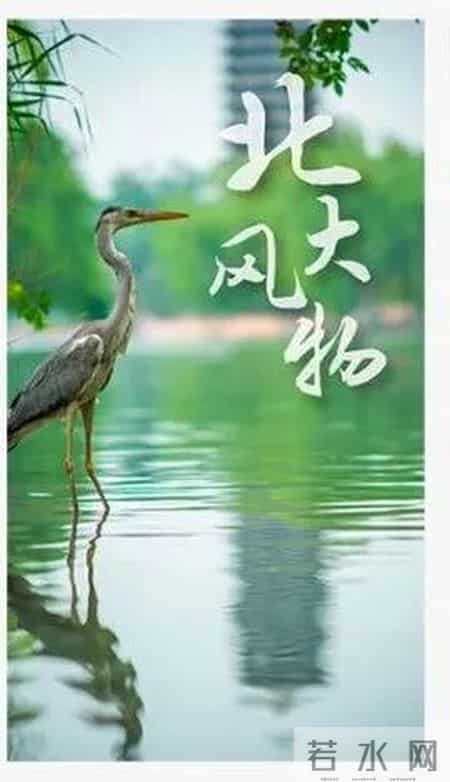 世界大学排名2014排行