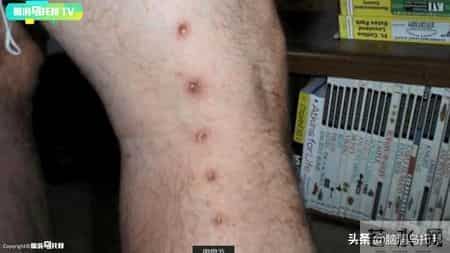 用摄像机拍下了外星人样貌？号称史上可信度最高的外星人接触事件