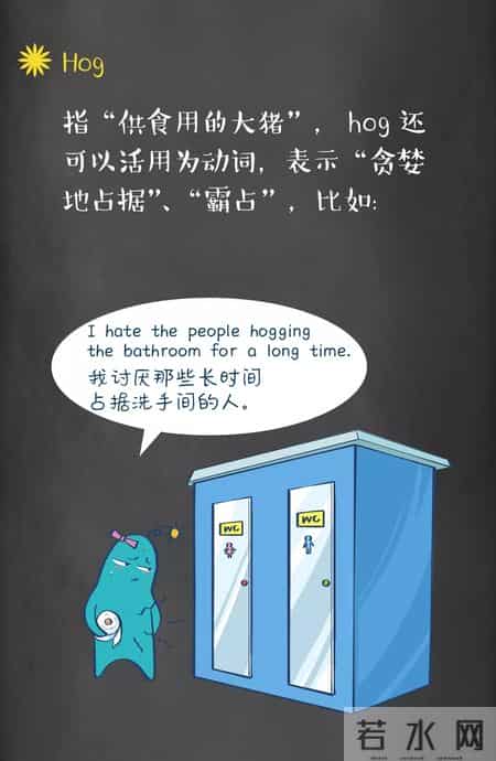 pig是什么意思,piggy是什么意思