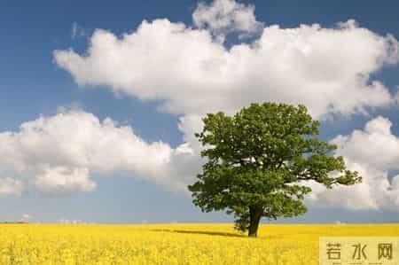 一眸倾心，一世倾情，缘来缘去，会一直等你