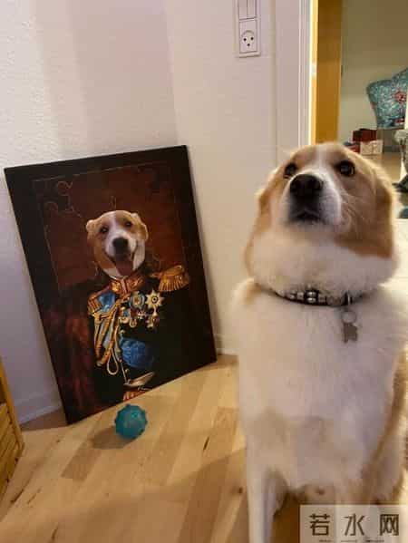 圣诞故事,寒冷的冬天，还好有这一波跟圣诞有关的治愈小故事