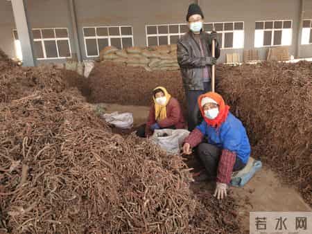 过春节的作文,青未了｜过年（散文）