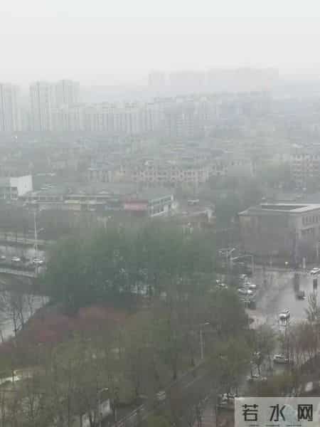 清明节作文600字作文