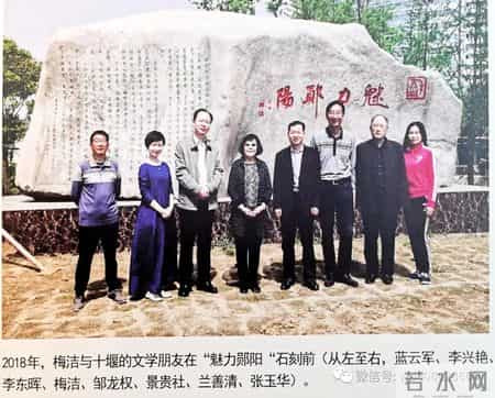 楼兰的忧郁读后感,乡情悠悠寄芳华